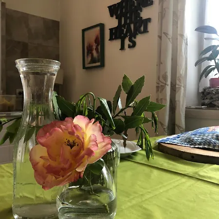 Homestay Haus Senter